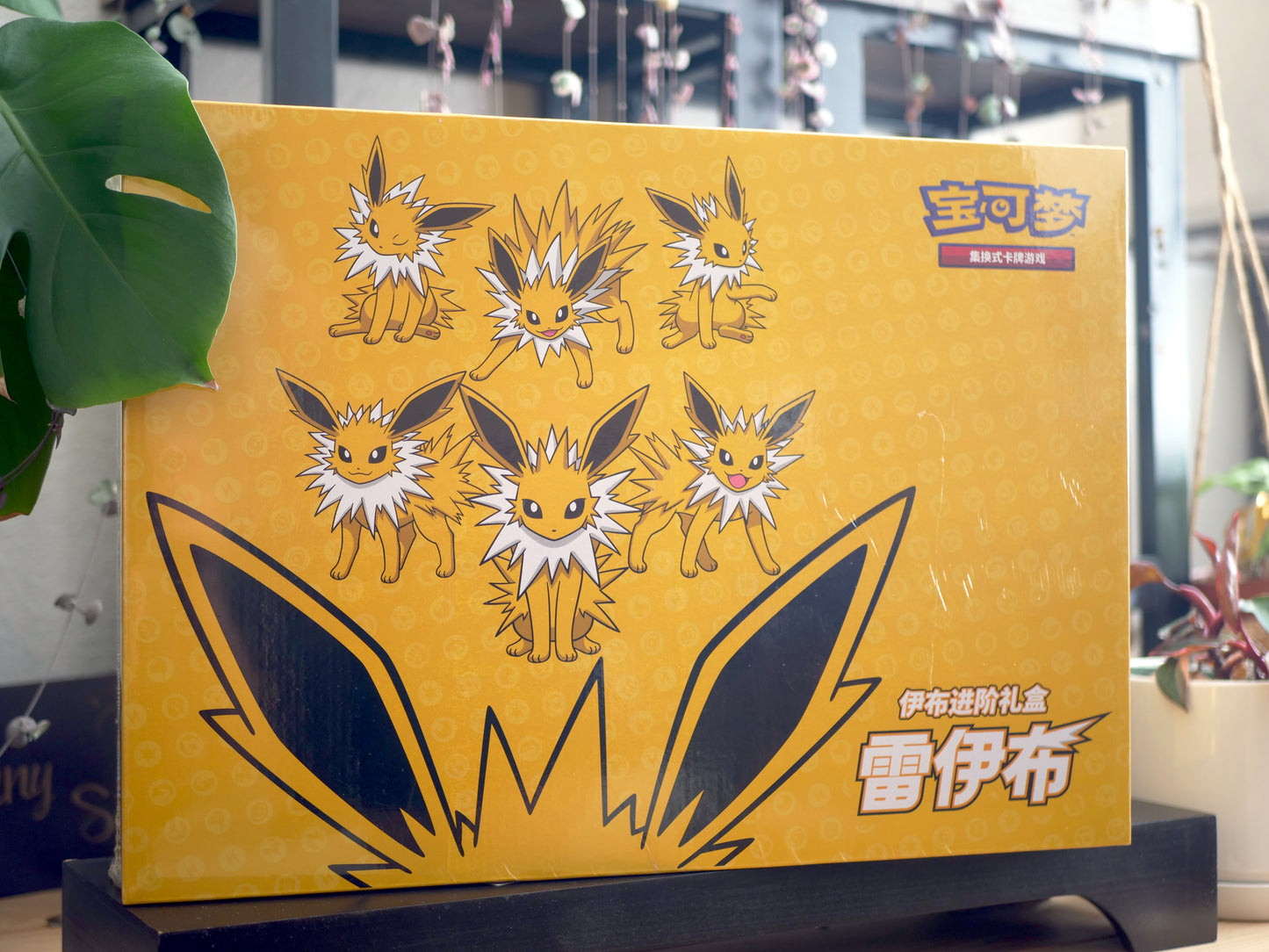 Pokémon TCG Jolteon Eeveelution Gift Box (Simplified Chinese)