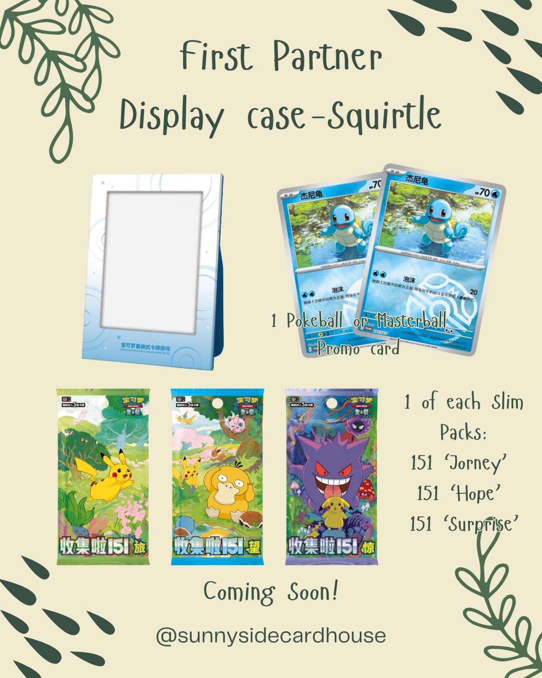 Pokémon TCG Collect 151 First Partner Display Case [SCN]