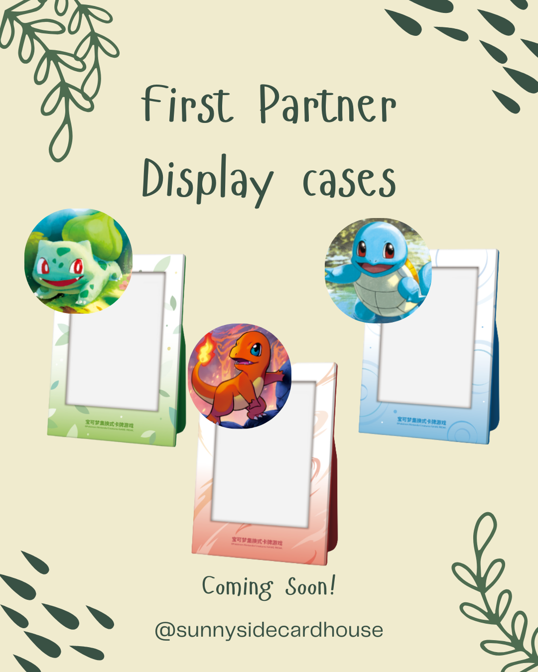 Pokémon TCG Collect 151 First Partner Display Case [SCN]