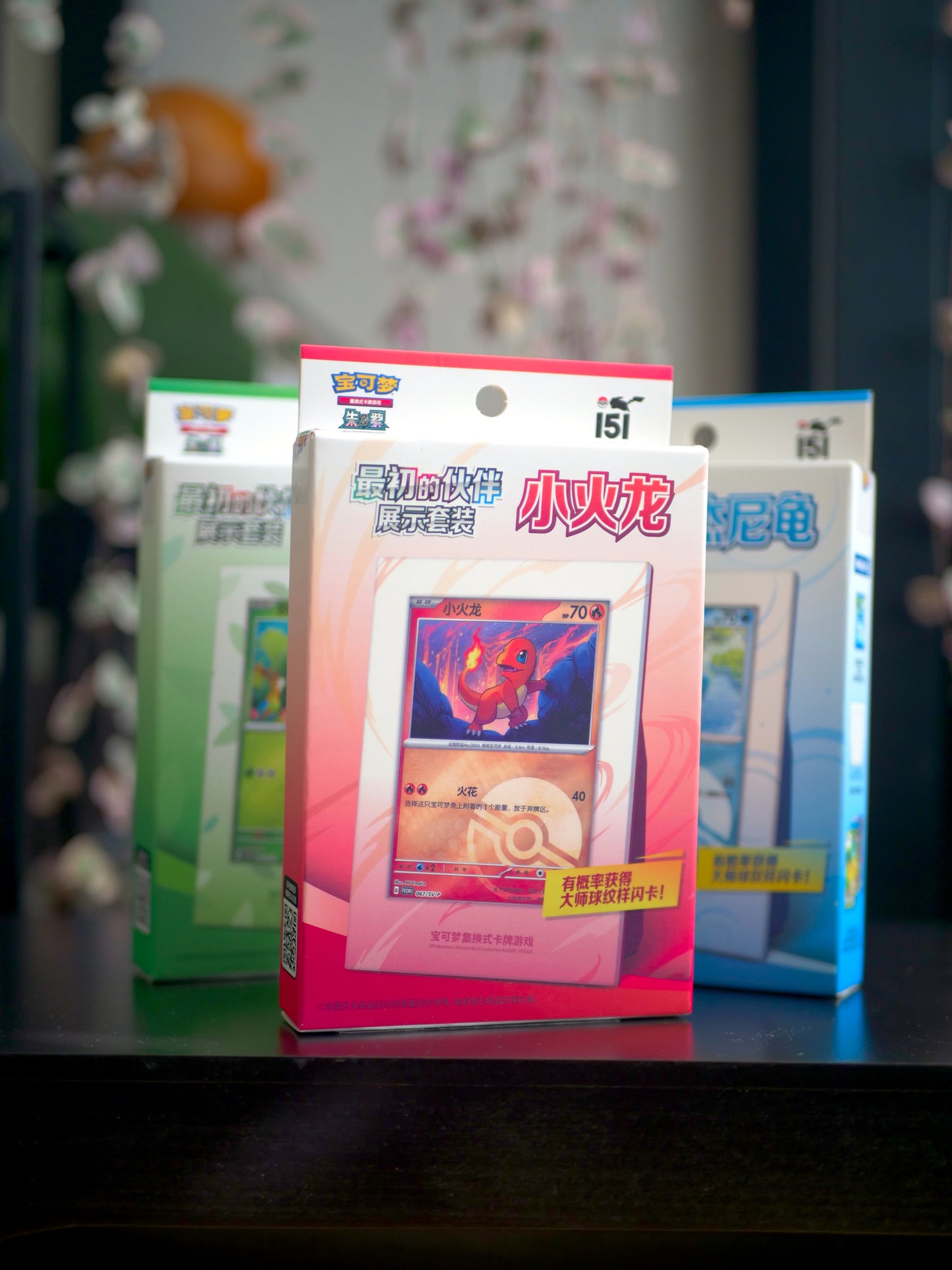 Pokémon TCG Collect 151 First Partner Display Case [SCN]